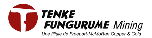 Tenke Fungurume Mining Une Filiale Freeport-McMoRan Copper & Gold do the maintenance planner course